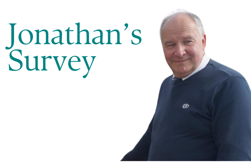 Jonathan's Survey