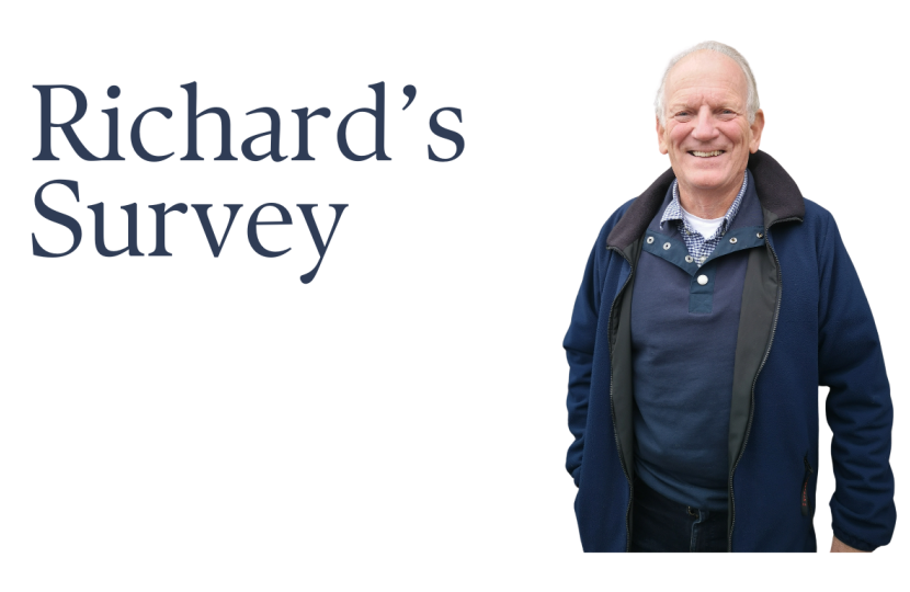 Richard O'Connell's Totnes Survey